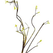 Complemento Flor Arte Cipó Aramado Marrom 97cm