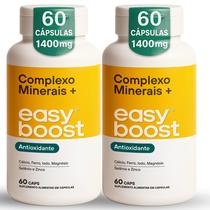 Complex Minerais Easyboost Cálcioferromagnesio 120caps Kit 2