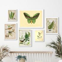 Composição 6 Quadros Botânica - Animais E Plantas Verdes - com vidro Composição 6 Quadros Botânica - Animais E Plantas Verdes - com vidro