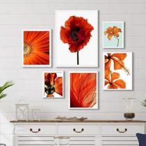 Composição 6 Quadros Decorativos Alaranjados- Flores - Vidro