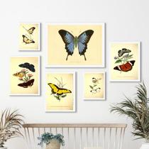 Composição 6 Quadros Decorativos Borboletas Vintage - com vidro