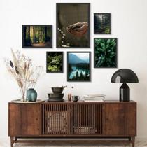 Composição 6 Quadros Fotografias Mãe Natureza - com vidro