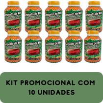 Composto Antigripal Farmel Mel e Limão 350g Kit Promocional 10 Unidades