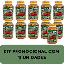Composto Antigripal Farmel Mel e Limão 350g Kit Promocional 11 Unidades