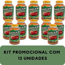 Composto Antigripal Farmel Mel e Limão 350g Kit Promocional 12 Unidades Composto Antigripal Farmel Mel e Limão 350g Kit Promocional 12 Unidades