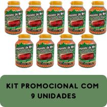 Composto Antigripal Farmel Mel e Limão 350g Kit Promocional 9 Unidades