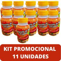 Composto Antigripal Farmel Mel, Própolis, Abacaxi, Acerola e Frutas Cítricas 350g Kit Promocional 11 Unidades