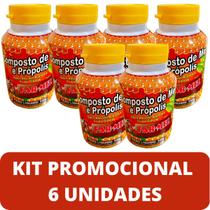 Composto Antigripal Farmel Mel, Própolis, Abacaxi, Acerola e Frutas Cítricas 350g Kit Promocional 6 Unidades