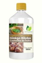 Composto Circulatório 500ML Chá Concentrado Fonte Verde Composto Circulatório 500ML Chá Concentrado Fonte Verde