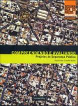 Compreendendo e avaliando projetos de segurança publica