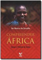 Compreender África - Teorias e Práticas da Gestão - FGV
