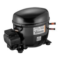 Compressor EGAS100 220V/60HZ
