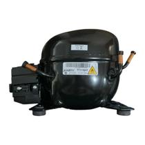 Compressor Electrolux R600 1/6 TT1116HY 127V 60HZ A23010701