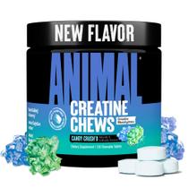 Comprimidos mastigáveis de creatina animal para mastigar Candy Crush'd Flavor