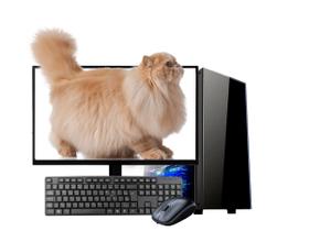 Computador i5 4gb ram ssd 120gb c/monitor teclado e mouse