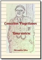 Conceitos piagetianos