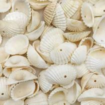 Concha do Mar com Furo 25mm x 30mm Cru em Plástico com 50 peças Concha do Mar com Furo 25mm x 30mm Cru em Plástico com 50 peças