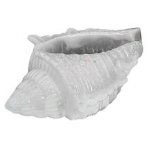 Concha Do Mar Decoração P/ Pousada Praia Resina Várias Cores