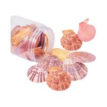 Conchas De Vieira Coloridas Mistas Sem Furo 25pcs Para Confecção De Joias Decoração De Festa Em Casa