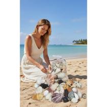 Conchas Naturais Variadas P/ Artesanato e Aquário (350g)