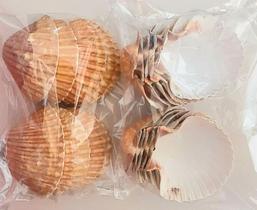 Conchas Para Casquinha De Siri c/ 08 Unidades