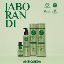 Condicionador Antiqueda Jaborandi Haskell 300ml Condicionador Antiqueda Jaborandi Haskell 300ml
