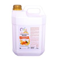 Condicionador Cães Gatos Pet Dream Color Tangerina Citrus 5l