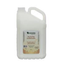 Condicionador Day By Day Midori 5000ml galão lavatório profissional para cabelos normais salao