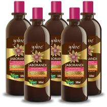 Condicionador Jaborandi 500ml Yabae 5 unidades