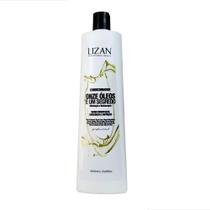 Condicionador Lizan Onze Óleos & Um Segredo - 1 Litro: Nutrição e Brilho que seus Cabelos Merecem! Condicionador Lizan Onze Óleos & Um Segredo - 1 Litro: Nutrição e Brilho que seus Cabelos Merecem!