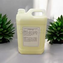 Condicionador Luxo Refil Galão/Bombona 5Lts Melão e Jasmim Realgems