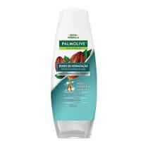Condicionador Palmolive Naturals Boom de Hidratação Manteiga de Cacau 350ml Condicionador Palmolive Naturals Boom de Hidratação Manteiga de Cacau 350ml