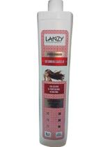 Condicionador Profissional Desmaia Cabelo - Lanzy 1lt