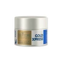 Condicionador Profissional Gold Xpress 250mg Pré/Pós Química Condicionador Profissional Gold Xpress 250mg Pré/Pós Química
