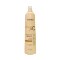 Condicionador Repair Up Salles Profissional 1lt