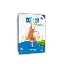 Condro Dog 210g Suplemento Para Articulações de Cães Idosos - 30 tabletes