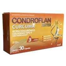 Condroflan Artix Colágeno Tp2 com Acido Hialurônico