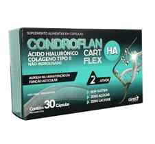 Condroflan HA Cartflex Acido Hialurônico e Colágeno Tipo 2 - AIRELA