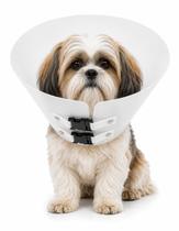 Cone Colar Protetor Cirúrgico Elizabetano Branco Pet N5