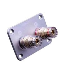Conector De Terminal De Caixa De Áudio De Cobre Puro Cristalino De 2 Vias Para Amplificador HiFi E