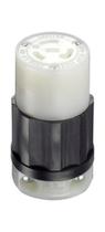 Conector de travamento Leviton de plugue elétrico 20 A Nema L5-20r