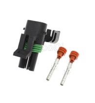 Conector Delphi 2 Vias Macho