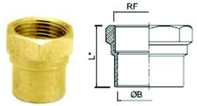 Conector Latão Fêmea Bronze B 28X1 Rf 28X1 Ramo SEM ANEL DE SOLDA