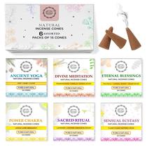 Cones de incenso Raajsee Natural, pacote com 6 aromas mistos, 90% no total Cones de incenso Raajsee Natural, pacote com 6 aromas mistos, 90% no total