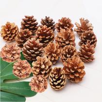 Cones de pinho de Natal QHZHANG Natural Bulk, pacote com 25, 4-5 cm