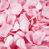 Confetti de pétalas de rosa secas Eslibin Real Pink 50mL para casamento