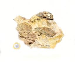 Conglomerado Sopa-Brumadinho 17 a 19 cm 2,830 a 3,105 kg - Geologia BR