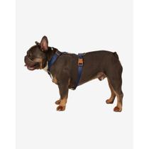 Conj. Peitoral H Basic M Preto-caqui