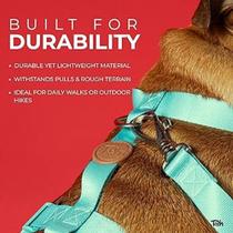 Conj. Peitoral Mesh H E Guia Pp Eclipse