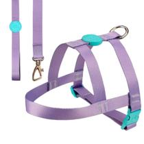 Conj. Peitoral Trad. E Guia G Lilas